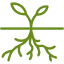 plant plant