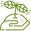 seed seed